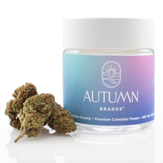 Autumn Brands — Sweet Zzz S