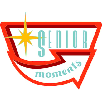 Sleep Wellness - Lemon Ginger [20pk] (400mg CBD/100mg THC/100mg CBN) by Senior Moments