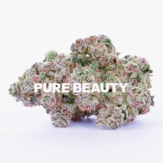 Pure Beauty — Spritzer