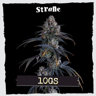 Strane — 10Gs