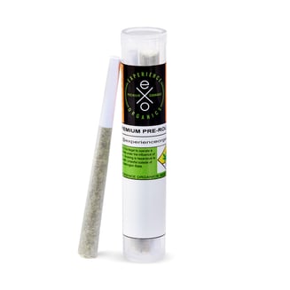 Yellow Gum [.5g] by Experience Organics