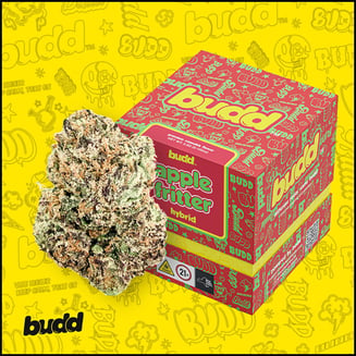 Apple Fritter by budd