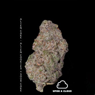Happy Holidaze (Baked Apple) by Upon a Cloud