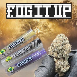 Apple Fritter [.5g] by FOG