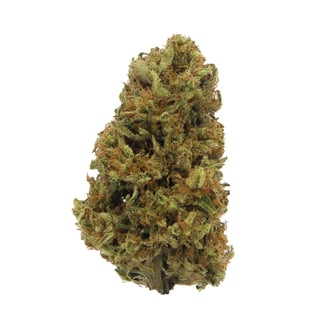 Keep Tahoe Blue by Maggie's Farm