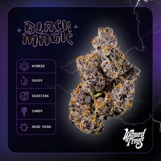 WIZARD TREES — Black Magic