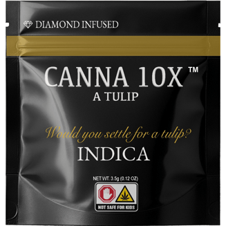 A Tulip by Canna10x