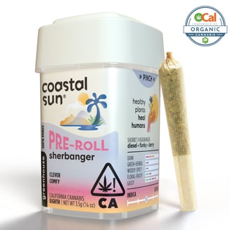 Coastal Sun: Sherbanger [.35g]