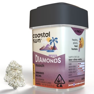 Hooch by Coastal Sun