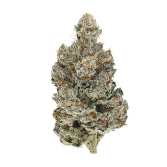 Headstash (Quadra) by Broken Coast