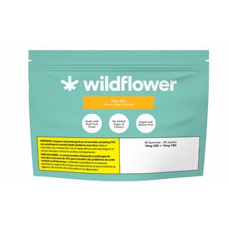 Daily Bliss Lemon Ginger [30pk] (300mg CBD/300mg CBG) by Wildflower