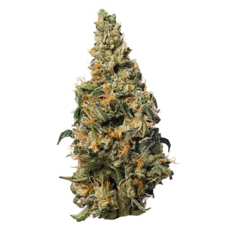 Dulce De Uva by Proper Cannabis