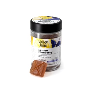 Valley Jane - 3:1 Lemon Blueberry - Dreamweaver [10pk] (300mg CBN/100mg THC) by Valley Jane