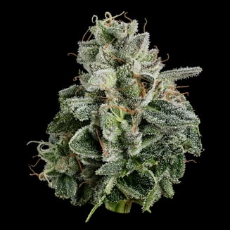 Pie Dough by U4EA Farms