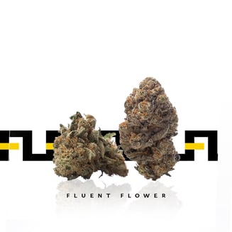 Beach Crasher by FLUENT Flower