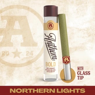 Bold Infused Northern Lights [1g] by Anthem