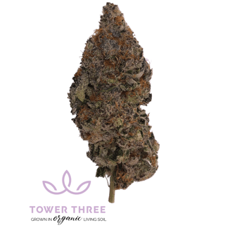 007 Up by Tower Three