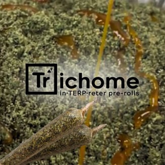 Alien Mintz x MT [.75g] by Trichome Extracts