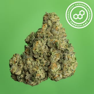 Z Pave 4162 by Theraplant