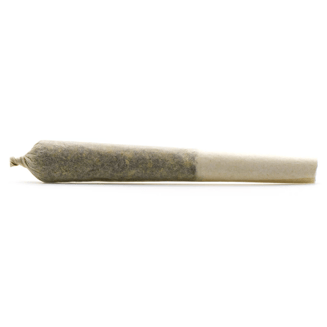 Queen SanG [.5g] by Reef Organic
