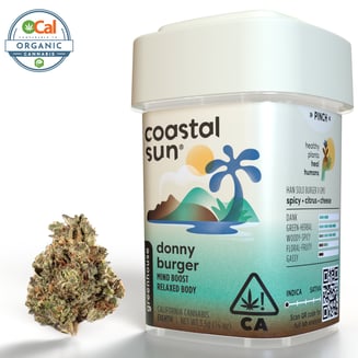Coastal Sun — Donny Burger