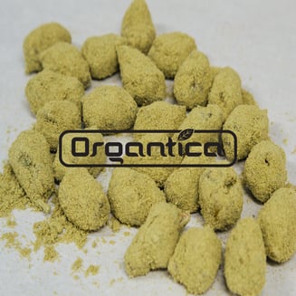 Bad Betty by Organtica