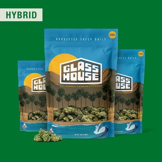 Glass House Farms — Lucky No. Zeven