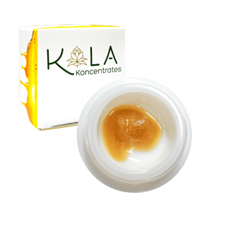 Jack 1 x Squirt by Kola Farms