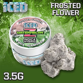 ICED — Watermelon Z