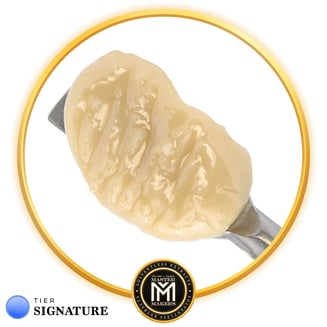 Master Makers: GMO X Oz