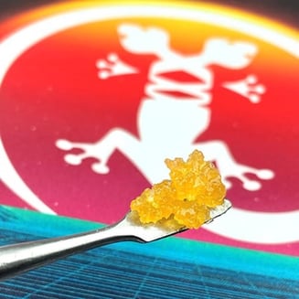 Alien Cookies by Newt Brothers