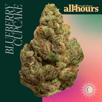 all:hours Blueberry Cup Cke 4850 by all:hours