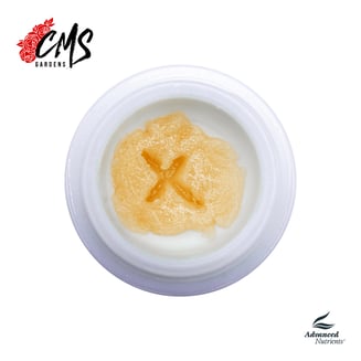 Artifical Red [2g] by CMS Gardens