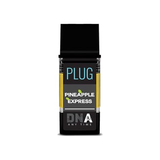 PlugPlay — Pineapple Express