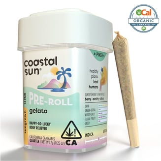 Coastal Sun — Gelato
