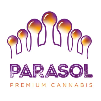 Cream Cookie Big Stuff  [1.5g] by Parasol