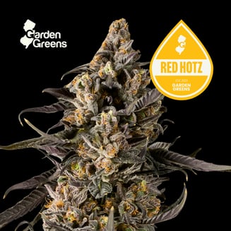Red Hotz by Garden Greens
