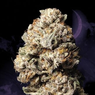 MAC 1 by Trichome Extracts