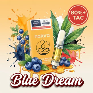 Halara — Blue Dream
