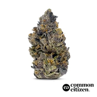 Yinz by Common Citizen