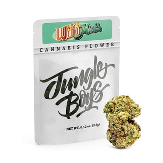Jungle Boys — Wifi Mints