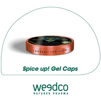 1:1 Spice Up [20pk] (100mg) by OMG! - PR
