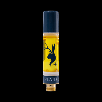 Zero Gravity by Plaid Jacket