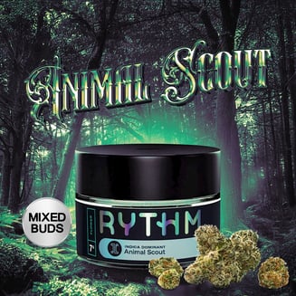 Animal Scout