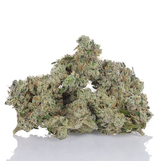 702 Headband by bLVd