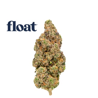 Ya Hemi by Float