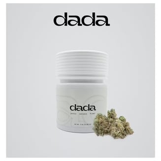 Cheetah Piss #2 by dada