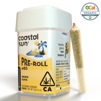 Coastal Sun — E85