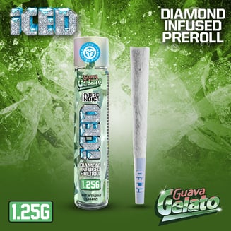 ICED — Guava Gelato