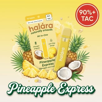 Halara — Pineapple Express